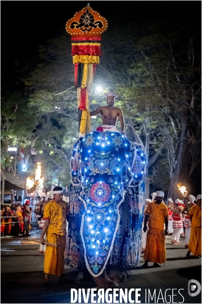 ESALA PERAHERA : Procession bouddhiste du Sri Lanka