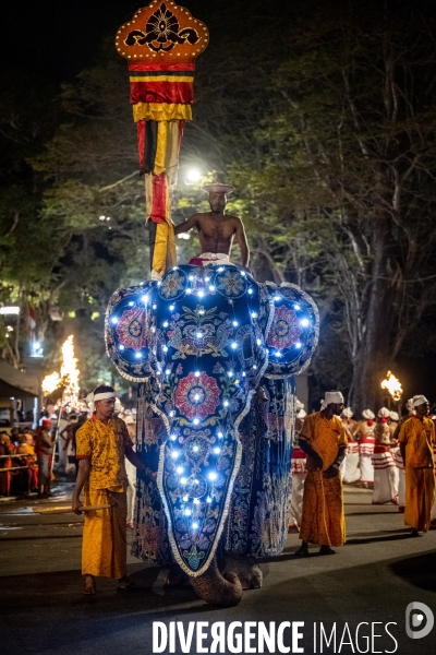 ESALA PERAHERA : Procession bouddhiste du Sri Lanka