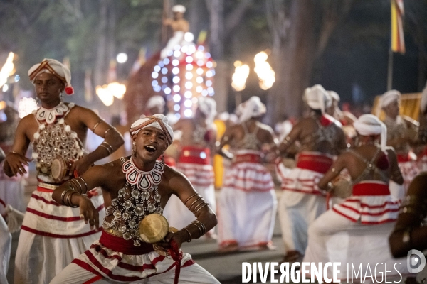 ESALA PERAHERA : Procession bouddhiste du Sri Lanka