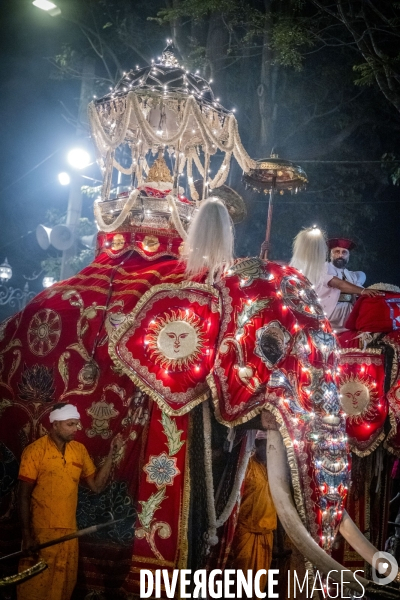 ESALA PERAHERA : Procession bouddhiste du Sri Lanka