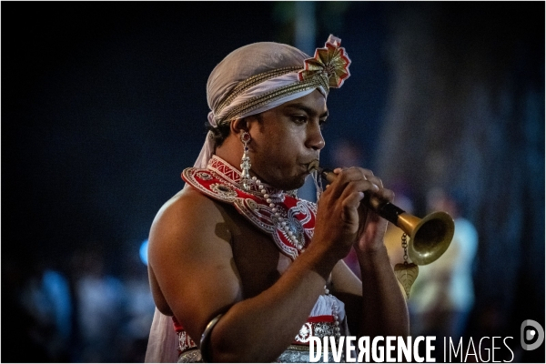 ESALA PERAHERA : Procession bouddhiste du Sri Lanka