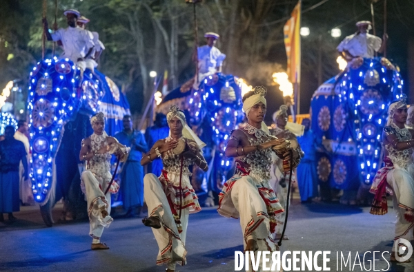 ESALA PERAHERA : Procession bouddhiste du Sri Lanka