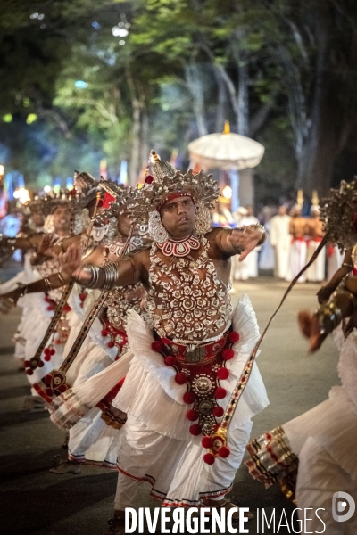 ESALA PERAHERA : Procession bouddhiste du Sri Lanka