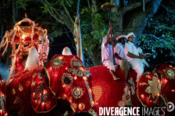 ESALA PERAHERA : Procession bouddhiste du Sri Lanka