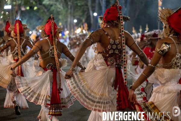 ESALA PERAHERA : Procession bouddhiste du Sri Lanka