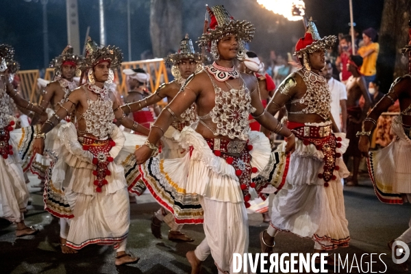 ESALA PERAHERA : Procession bouddhiste du Sri Lanka