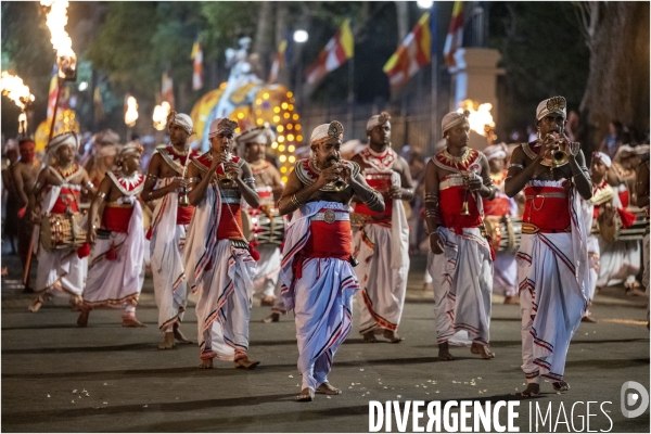 ESALA PERAHERA : Procession bouddhiste du Sri Lanka