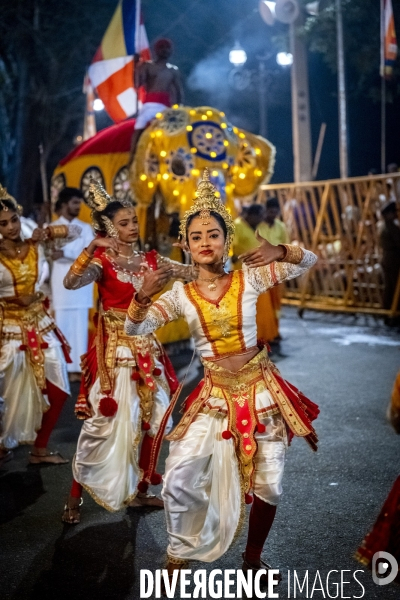 ESALA PERAHERA : Procession bouddhiste du Sri Lanka