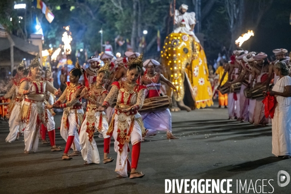 ESALA PERAHERA : Procession bouddhiste du Sri Lanka