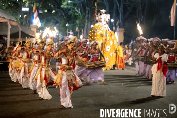 ESALA PERAHERA : Procession bouddhiste du Sri Lanka