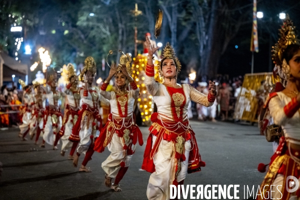 ESALA PERAHERA : Procession bouddhiste du Sri Lanka