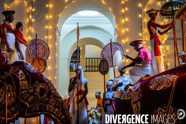ESALA PERAHERA : Procession bouddhiste du Sri Lanka