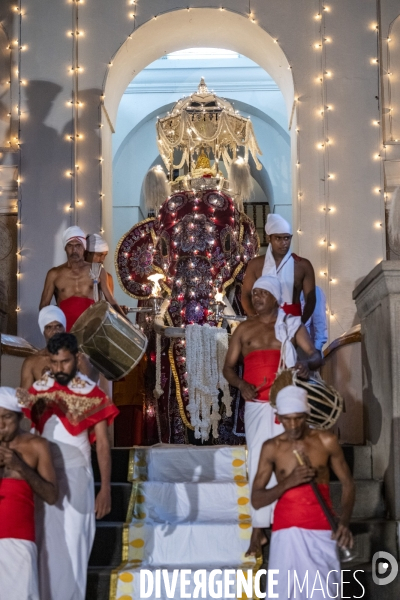 ESALA PERAHERA : Procession bouddhiste du Sri Lanka