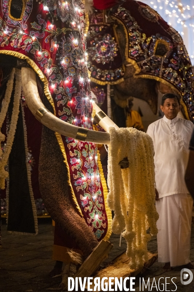 ESALA PERAHERA : Procession bouddhiste du Sri Lanka