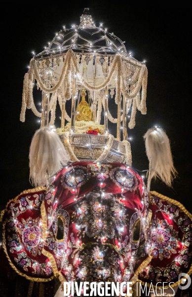 ESALA PERAHERA : Procession bouddhiste du Sri Lanka