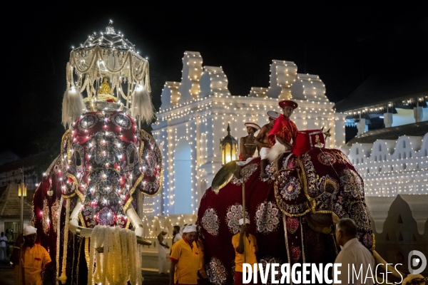 ESALA PERAHERA : Procession bouddhiste du Sri Lanka