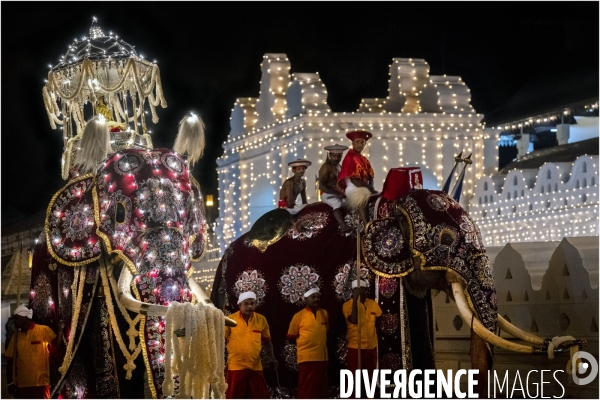 ESALA PERAHERA : Procession bouddhiste du Sri Lanka