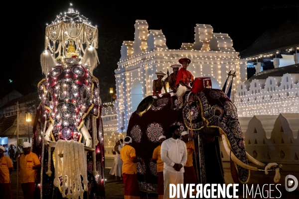 ESALA PERAHERA : Procession bouddhiste du Sri Lanka