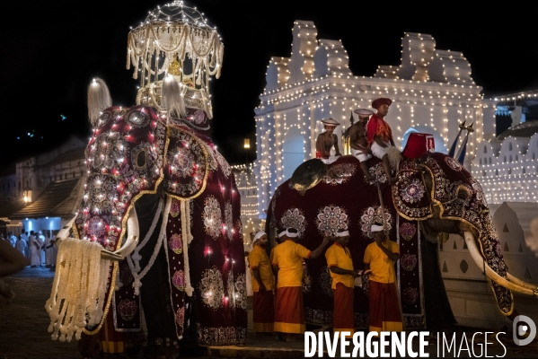 ESALA PERAHERA : Procession bouddhiste du Sri Lanka