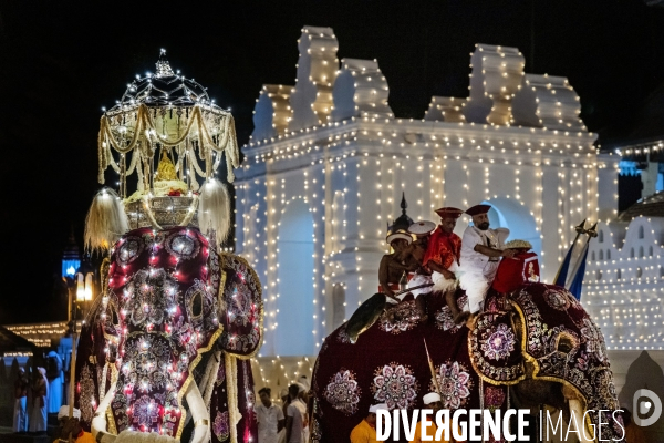 ESALA PERAHERA : Procession bouddhiste du Sri Lanka