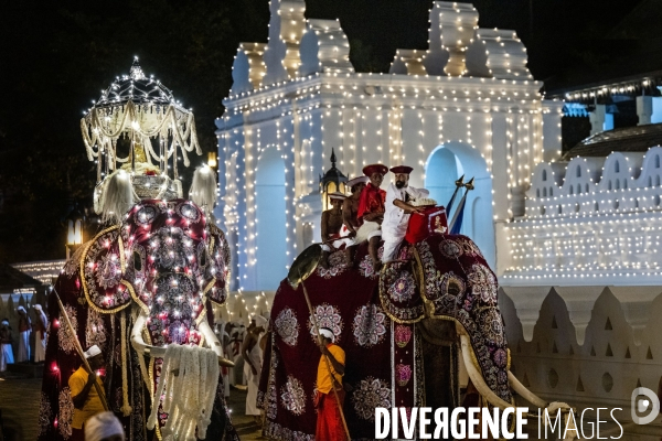 ESALA PERAHERA : Procession bouddhiste du Sri Lanka