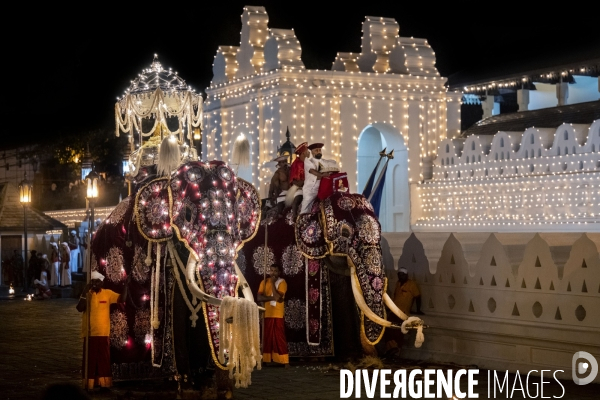 ESALA PERAHERA : Procession bouddhiste du Sri Lanka
