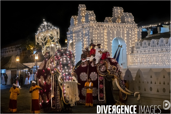 ESALA PERAHERA : Procession bouddhiste au Sri Lanka