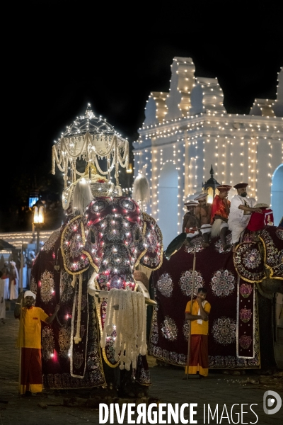 ESALA PERAHERA : Procession bouddhiste du Sri Lanka