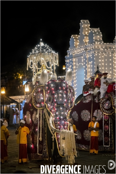 ESALA PERAHERA : Procession bouddhiste du Sri Lanka