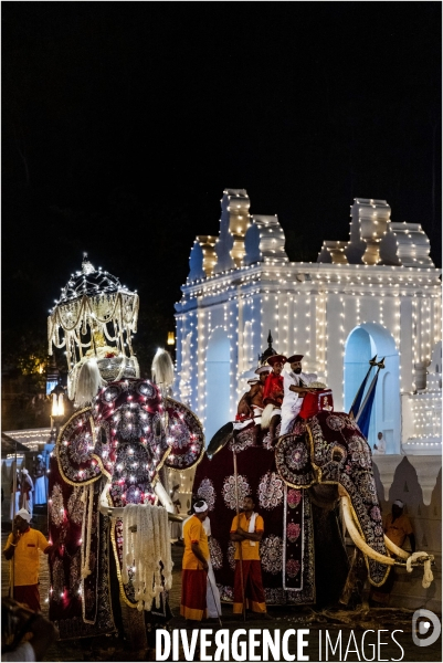 ESALA PERAHERA : Procession bouddhiste du Sri Lanka