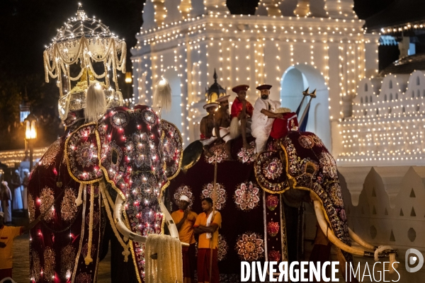 ESALA PERAHERA : Procession bouddhiste du Sri Lanka