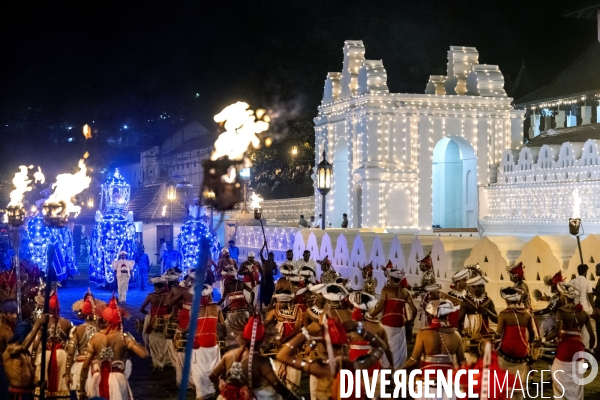 ESALA PERAHERA : Procession bouddhiste du Sri Lanka