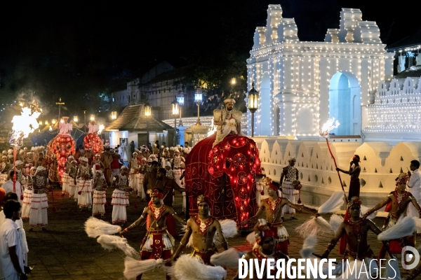 ESALA PERAHERA : Procession bouddhiste du Sri Lanka