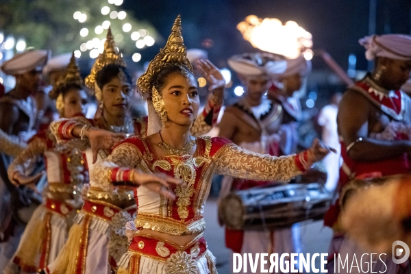 ESALA PERAHERA : Procession bouddhiste du Sri Lanka