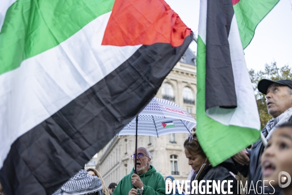 Israel-Palestine : Manifestation pour la paix