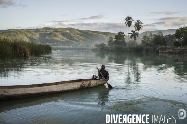 La peche a l anguille, roseaux, haiti.