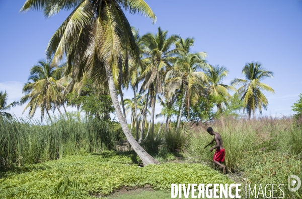 La grande anse, haiti.