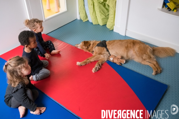 Mediation animale en creche