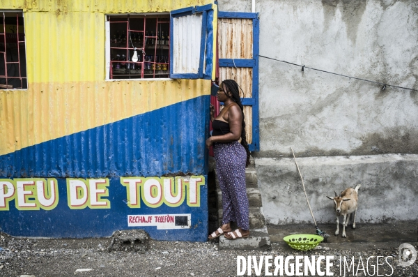 Culture du riz aux cayes, haiti.