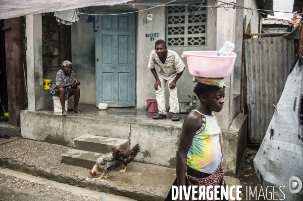 Culture du riz aux cayes, haiti.