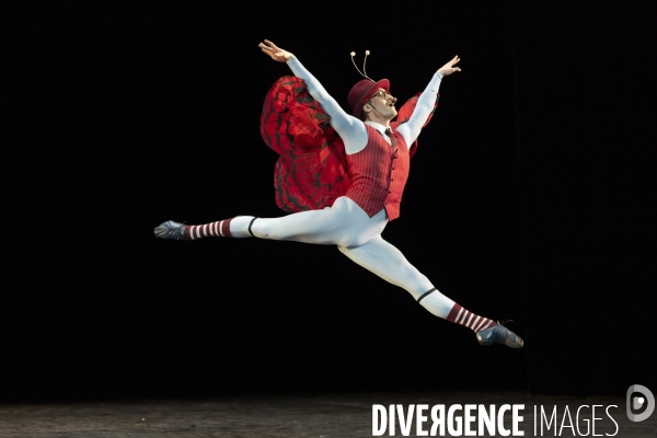 THE CONCERT ou les malheurs de chacun de Jerome Robbins