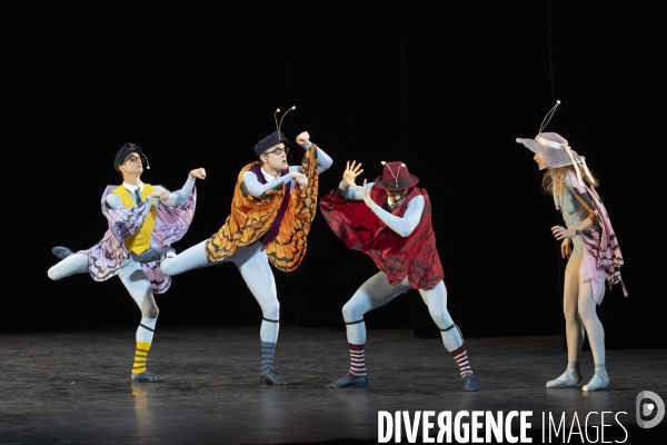 THE CONCERT ou les malheurs de chacun de Jerome Robbins