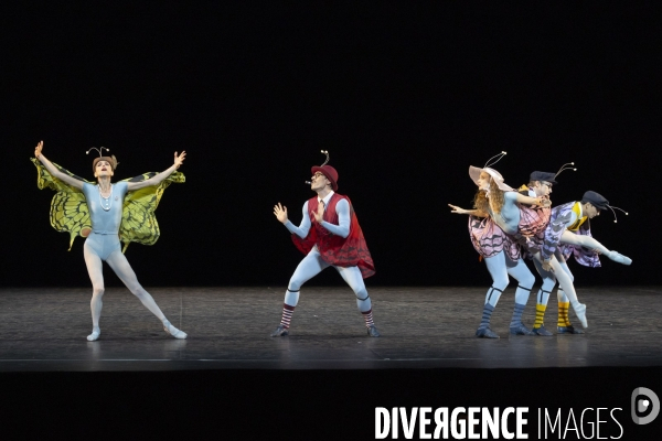 THE CONCERT ou les malheurs de chacun de Jerome Robbins