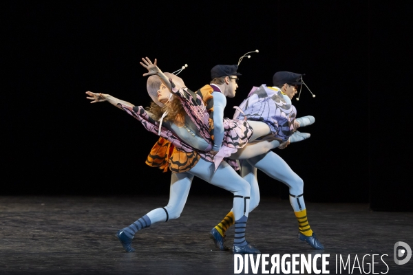 THE CONCERT ou les malheurs de chacun de Jerome Robbins