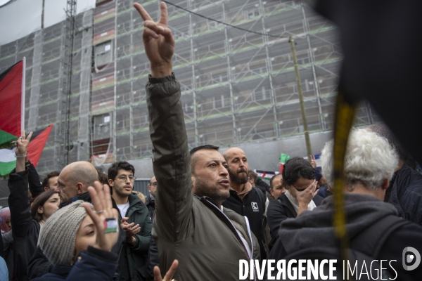 Manifestation pour un cessez le feu à Gaza , Paris.