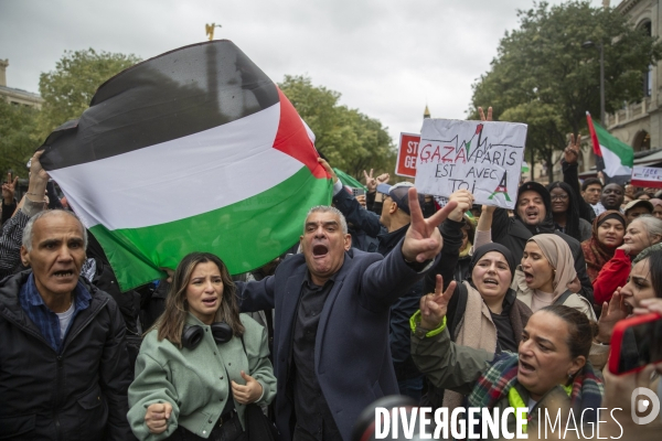Manifestation pour un cessez le feu à Gaza , Paris.