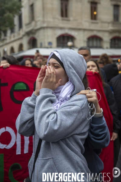 Manifestation pour un cessez le feu à Gaza , Paris.