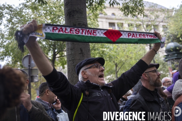 Manifestation pour un cessez le feu à Gaza , Paris.