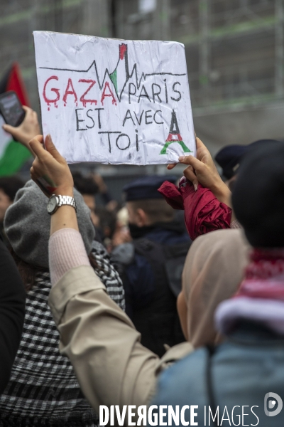 Manifestation pour un cessez le feu à Gaza , Paris.