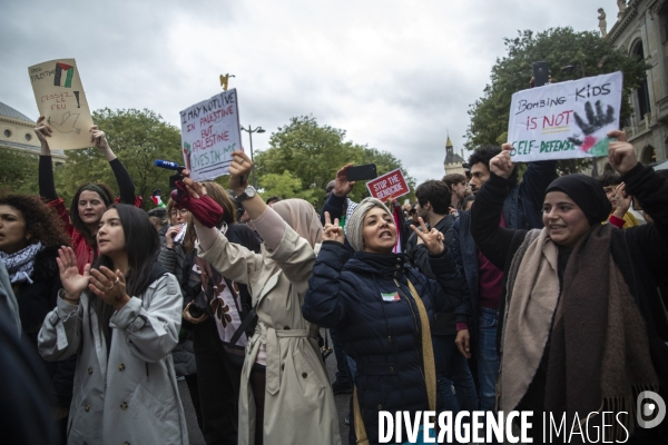 Manifestation pour un cessez le feu à Gaza , Paris.
